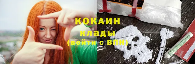 Cocaine Fish Scale  кракен ССЫЛКА  Амурск 